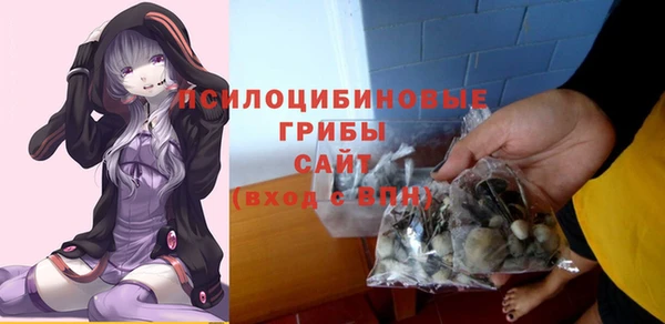 МДПВ Лагань