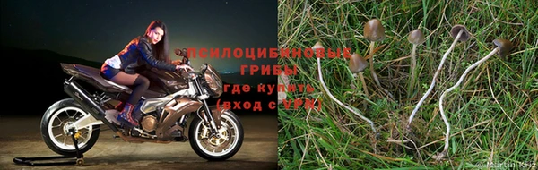 эйфоретик Кулебаки