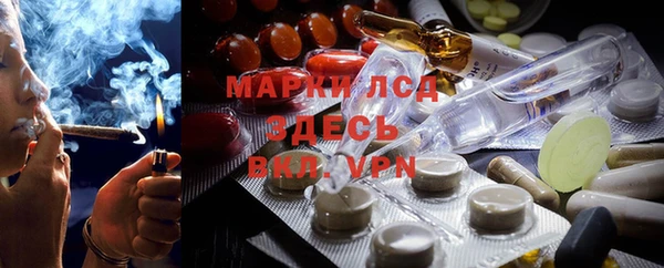 ГАЛЛЮЦИНОГЕННЫЕ ГРИБЫ Куйбышев